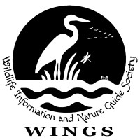 WINGS (Wildlife Information and Nature Guide Society) logo - Similar company to Wildlife Conservation Foundation