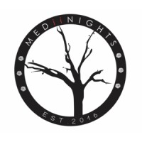 MEDIINIGHTS logo - Similar company to Undefined Collective