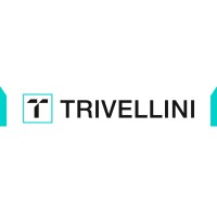 Trivellini Tech logo - Similar company to Sansar Consulting
