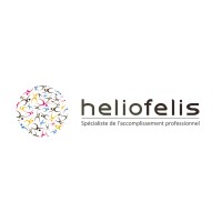 HELIOFELIS CONSEIL ET FORMATION logo - Similar company to Iko