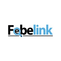 Febelink logo - Similar company to Astral Marketing