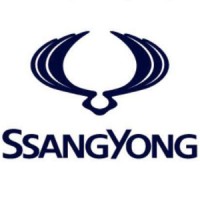 SsangYong Bangladesh logo - Similar company to Ssangyong