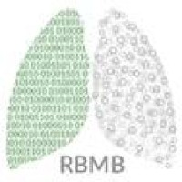 RBMB - Respiratory Bioinformatics and Molecular Biology logo - Similar company to Structural Biology Facility