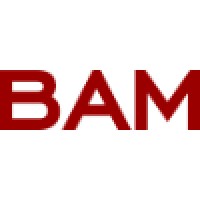 Boise Art Museum logo - Similar company to Prime Access Consulting