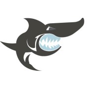 BLACKSHARK TECHNOLOGIES logo - Similar company to Black Shark Digital