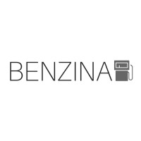 The Benzina Group logo - Similar company to Fieldtech Solutions