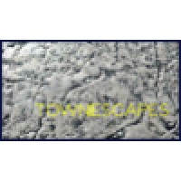 TowneScapes logo - Similar company to Level 4 Construction, Llc