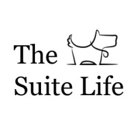 The Suite Life logo - Similar company to Viking Veterinary Services, Llc.