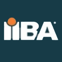 IIBA Austria Chapter logo - Similar company to Iiba Germany Chapter