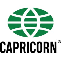 Capricorn SpA logo - Similar company to Virtual Intelligence