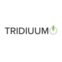 Tridiuum (now Lucet) logo - Similar company to Virbby