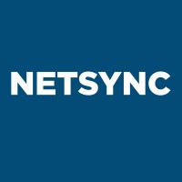 NETSYNC logo - Similar company to Gdt - General Datatech