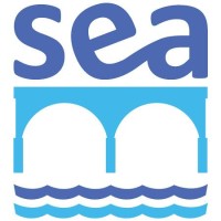 Strategy Execution Advisors Llc