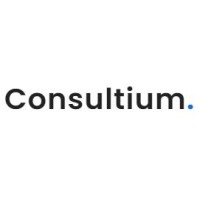 Consultium LLC logo - Similar company to Chgroup