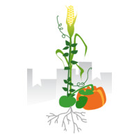La Milpa - Des espaces en transition logo - Similar company to Icart Inter Service