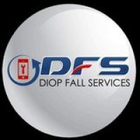 DF SERVICES logo - Similar company to Smartsell-Technologies