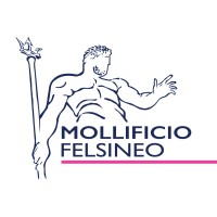 Mollificio Felsineo srl logo - Similar company to Mazzola Roberto