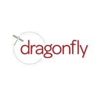 Dragonfly Interactive, Digital Design studio in Jersey City, NJ logo - Similar company to Natasha Mehta