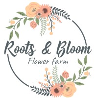 Roots & Bloom CIC logo - Similar company to Fiero Studio