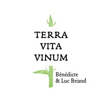 Terra Vita Vinum logo - Similar company to Maison Rivarose