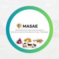 Ministère de l'Agriculture, de la Souveraineté Alimentaire et de l'Élevage MASAE logo - Similar company to Direction De La Microfinance Et L'Inclusion Financière