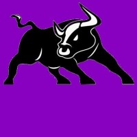 NYU Financial Engineering Society logo - Similar company to Nyu Robosub