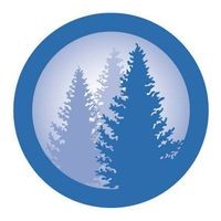 Balsam Technologies Inc. logo - Similar company to Balsam Technologies