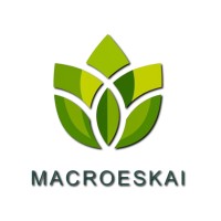 MACROESKAI logo - Similar company to Prolemna