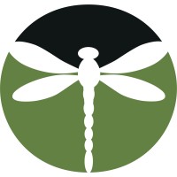 Learn With Dragonfly logo - Similar company to Avid4 Adventure