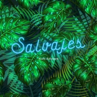 Salvajes logo - Similar company to Go Clouds
