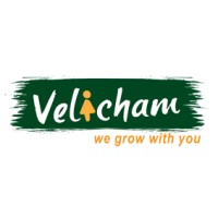 Velicham Finance logo - Similar company to Sri Sai Groups