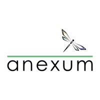 Anexum GmbH logo - Similar company to Byens Hotel