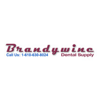 Brandywine Dental Supply logo - Similar company to Ristek Instruments