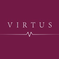 Virtus Informatics logo - Similar company to Alessa Technical Services
