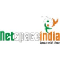 Netspaceindia logo - Similar company to Taraba Info Solutions Pvt. Ltd.
