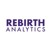 Rebirth Analytics logo - Similar company to Spillbox
