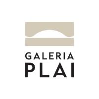 Plai Gallery logo - Similar company to Katch.Ie