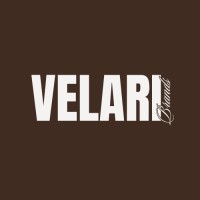 VELARI Brands logo - Similar company to Transformu
