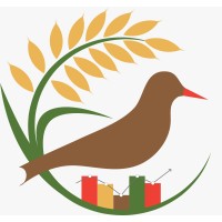 Titodi logo - Similar company to Movimento