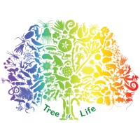 Tree of Life Programme logo - Similar company to 1000 Genomas