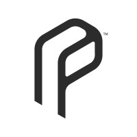 Pancika Studios logo - Similar company to Creative Dreamrs