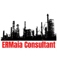 ERMaia Consultant logo - Similar company to Db Acoustics Pte Ltd