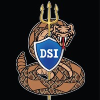 Diamondback Solutions International LLC logo - Similar company to Leisuresec Ltd