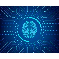 BrainMapping Labs logo - Similar company to Brainmapp