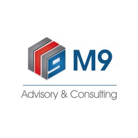 M9 Advisory & Consulting logo - Similar company to Dope Sole