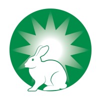 Fiver Children's Foundation logo - Similar company to Pulsechain Foundation