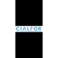 Bluest Mettle Solutions (P) Ltd. logo - Similar company to Cialfor