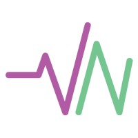 VN Medical Translations logo - Similar company to Novalins Medical Translation