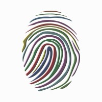 Borderline Security Ltd logo - Similar company to Stalker Security