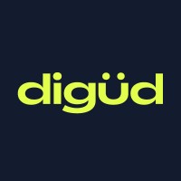 digud logo - Similar company to Analitic